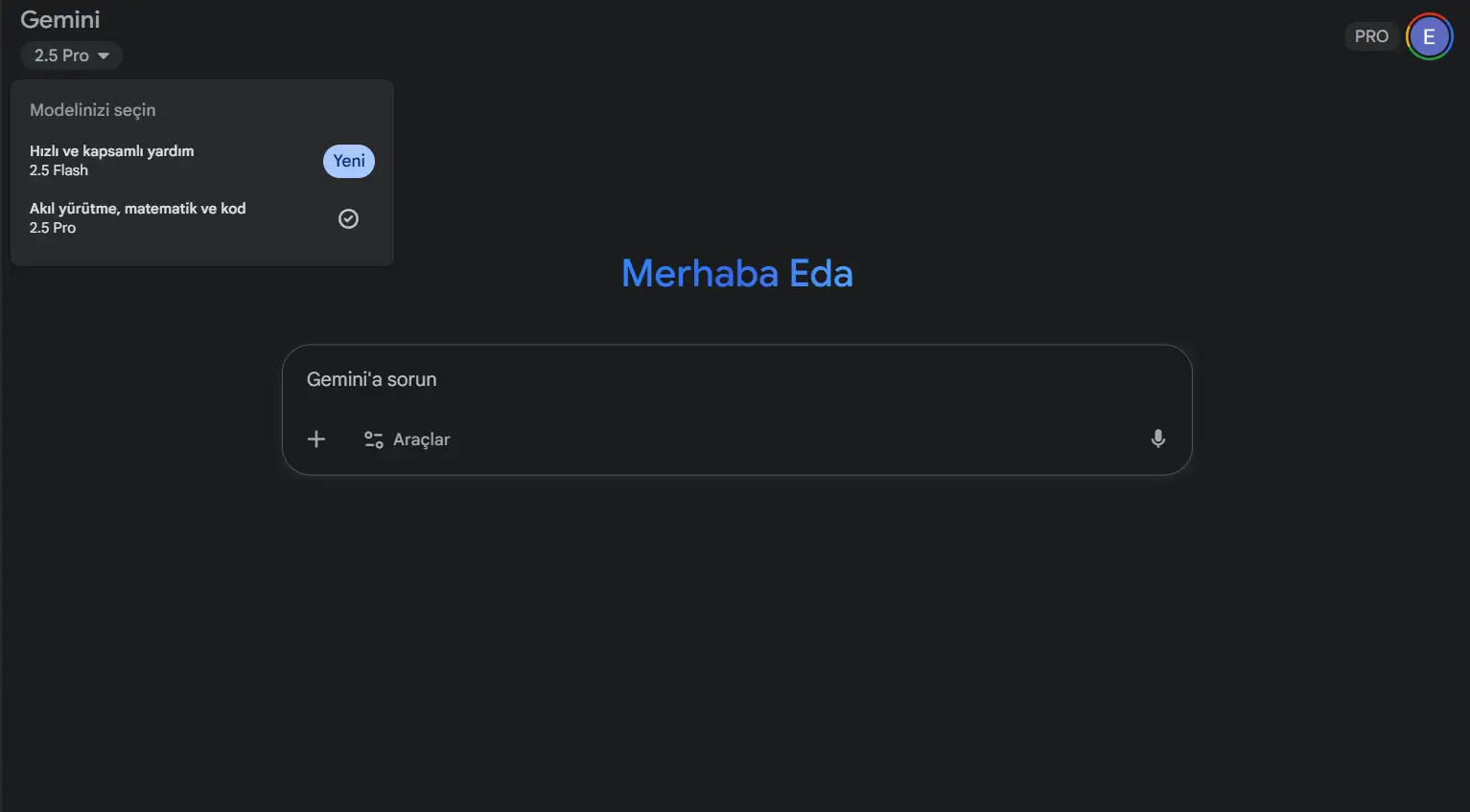 geminipro-model-access