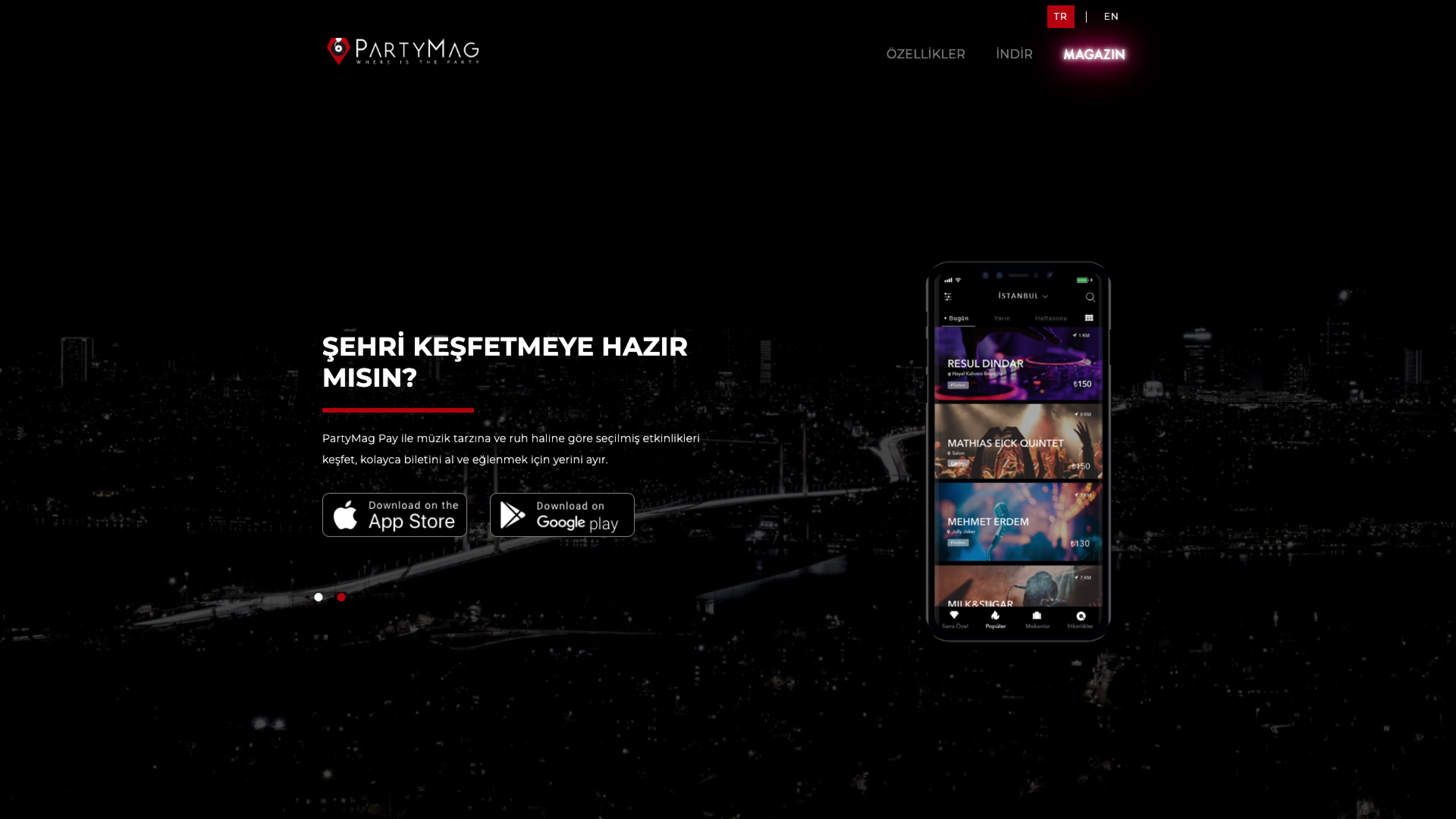 Partymag Website