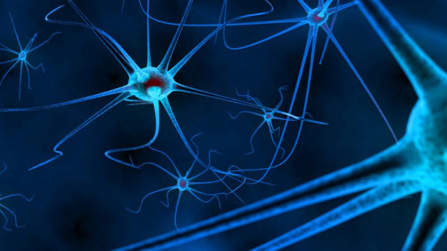 banner-neuroscience-1024x448.jpg
