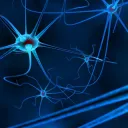 banner-neuroscience-1024x448.jpg