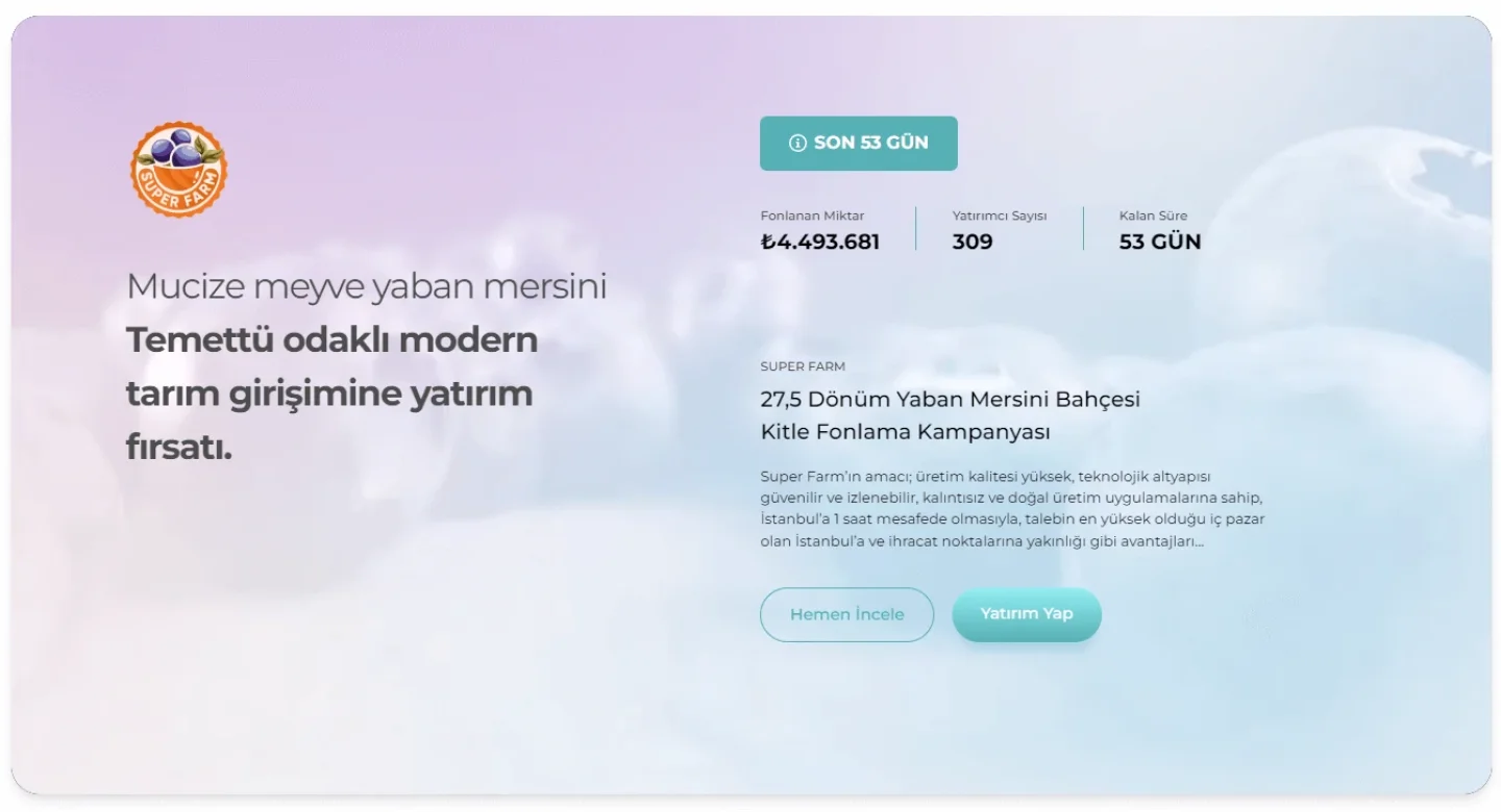 Ecofolio Öne Çıkan Projeler Arayüz Tasarımı